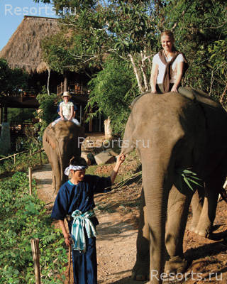 Four Seasons Tented Camp Golden Triangle 16